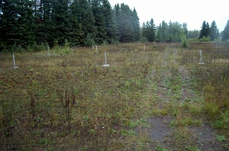 Hiawatha Drive-In Theatre - Poles In The Field